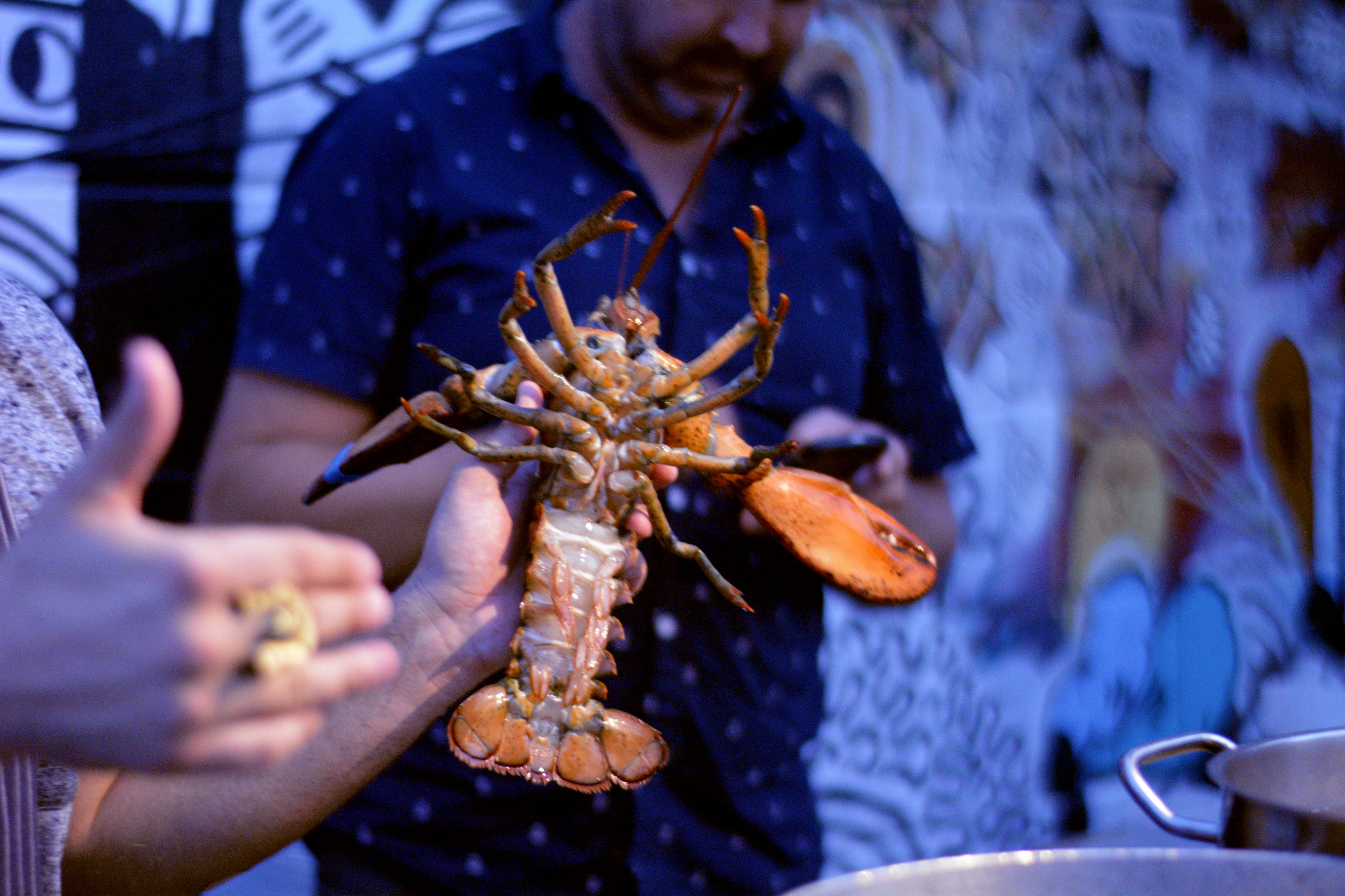 Lobster Palooza 2015 Chef Matt Dean Pettit of Rock Lobster Food Co.