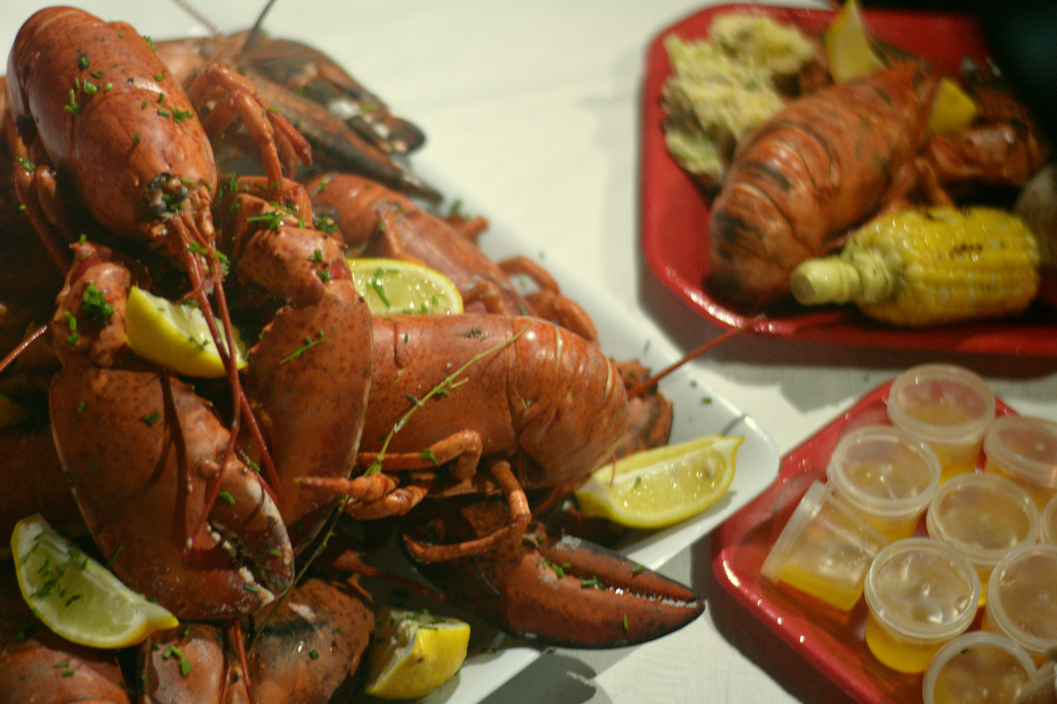 Lobster Palooza 2015 Chef Matt Dean Pettit of Rock Lobster Food Co.